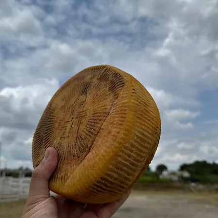 Tenuta Cantore Vakantieboerderij