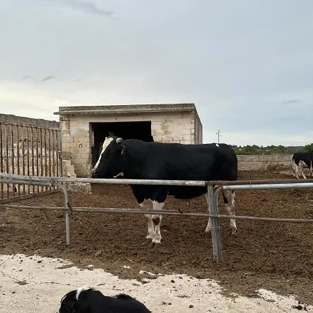 Vakantieboerderij Tenuta Cantore *