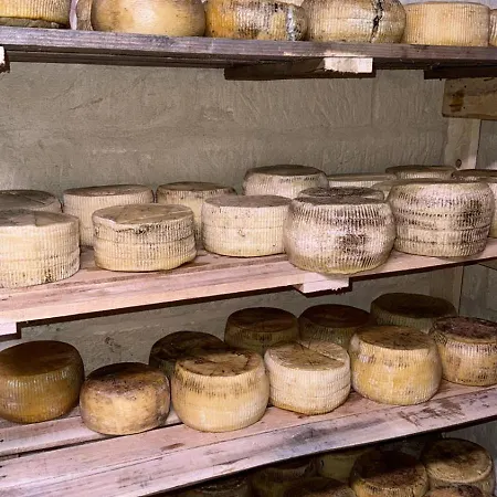 Tenuta Cantore Ginosa