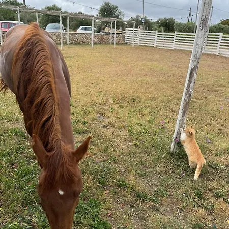 Tenuta Cantore * Ginosa