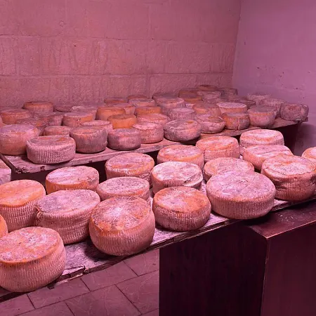 Tenuta Cantore Vakantieboerderij