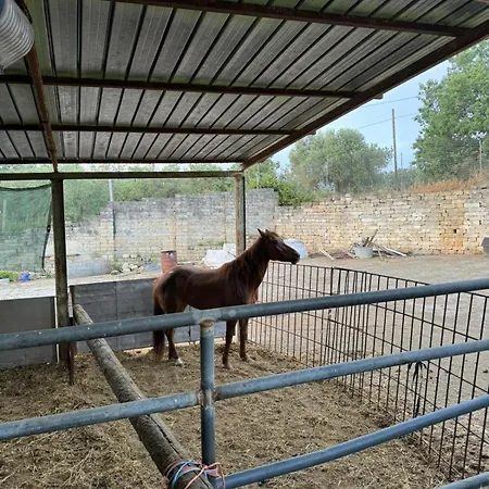 Vakantieboerderij Tenuta Cantore