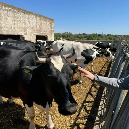 Tenuta Cantore Vakantieboerderij *