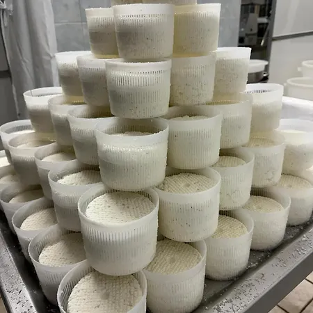 Vakantieboerderij Tenuta Cantore